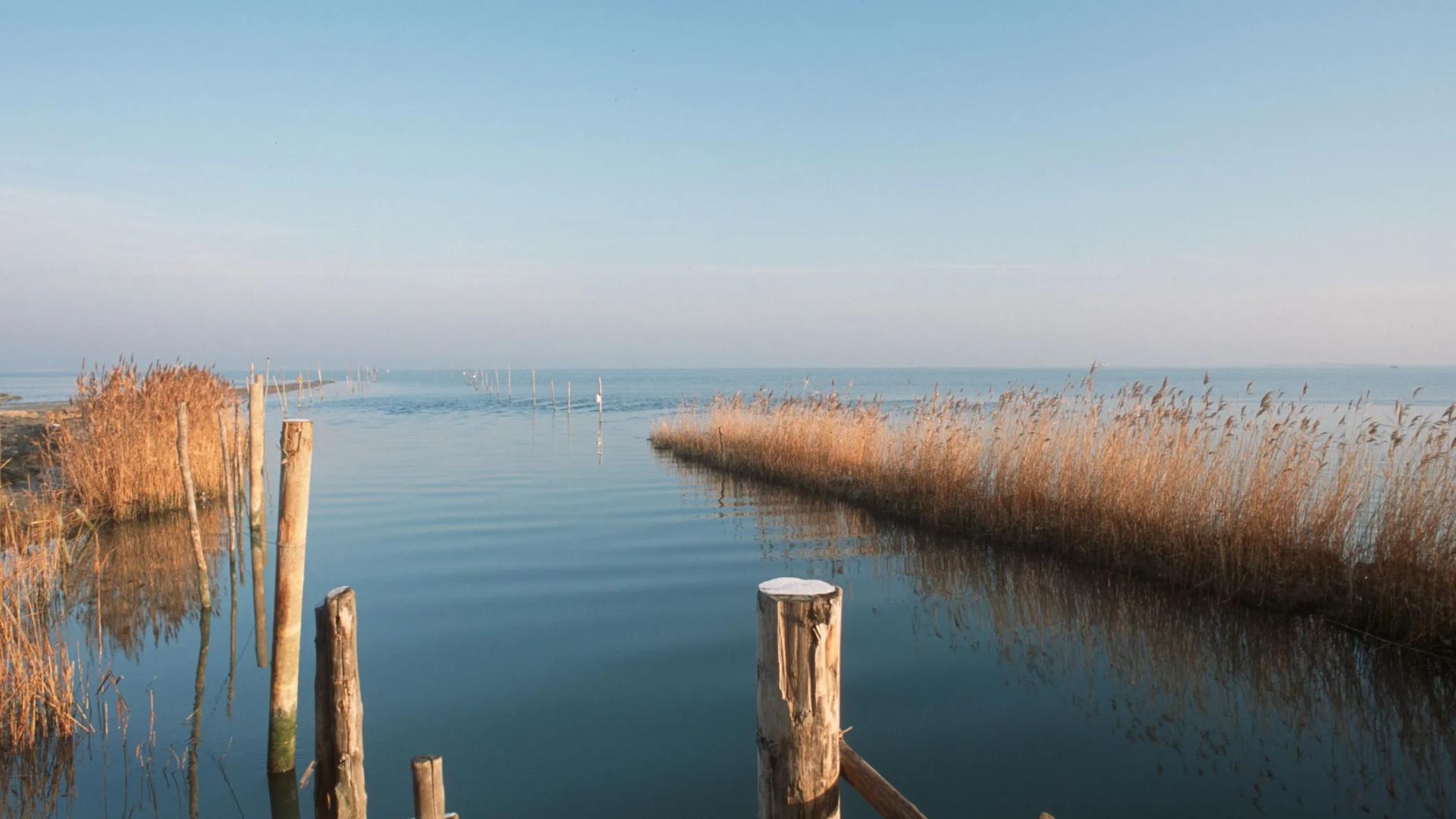 Neusiedler See