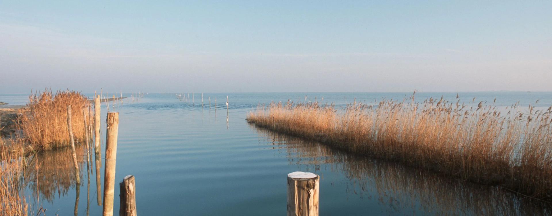 Neusiedler See