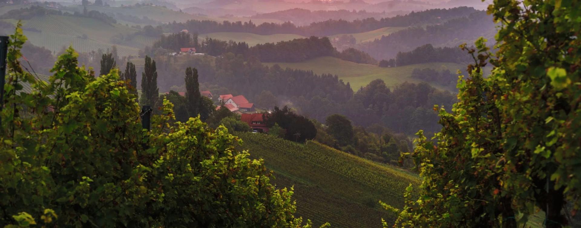 Landschaft HBB