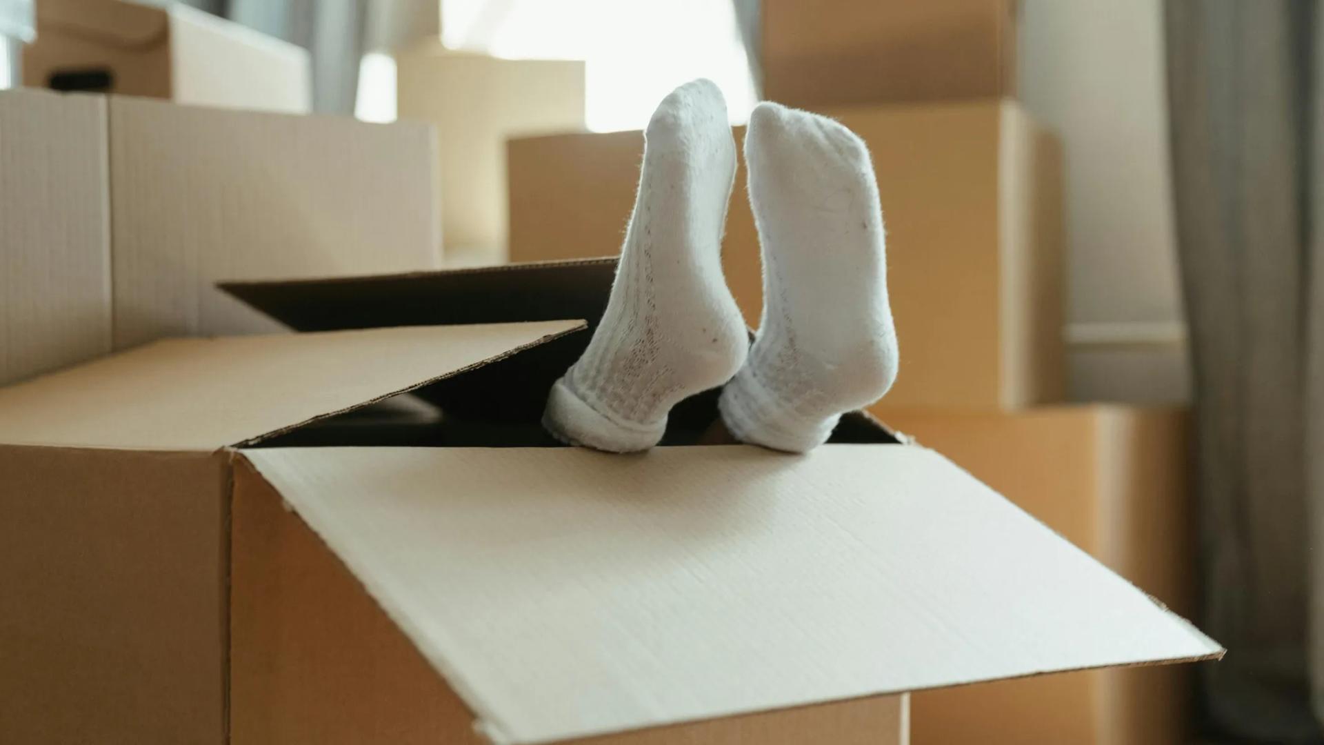 Bauen, kaufen, sanieren mit einer Wohnbaufinanzierung der Bank Burgenland